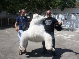 XVII Concentracion - 2010